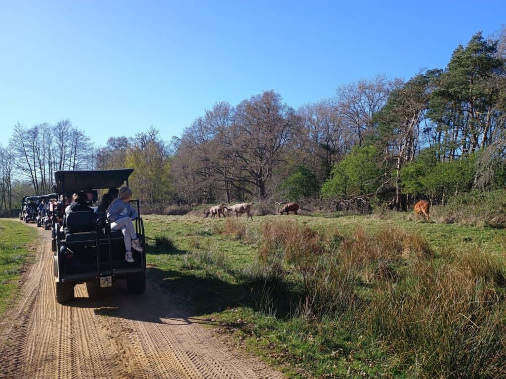 Watatunga Wildlife Reserve
