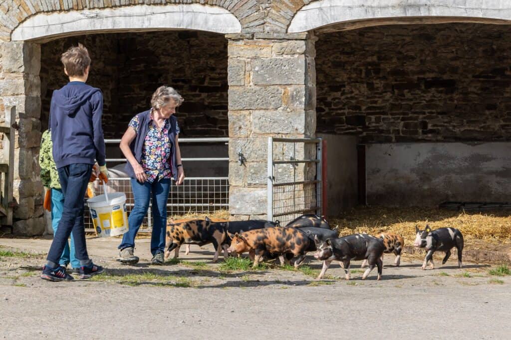 Wensleydale Experience