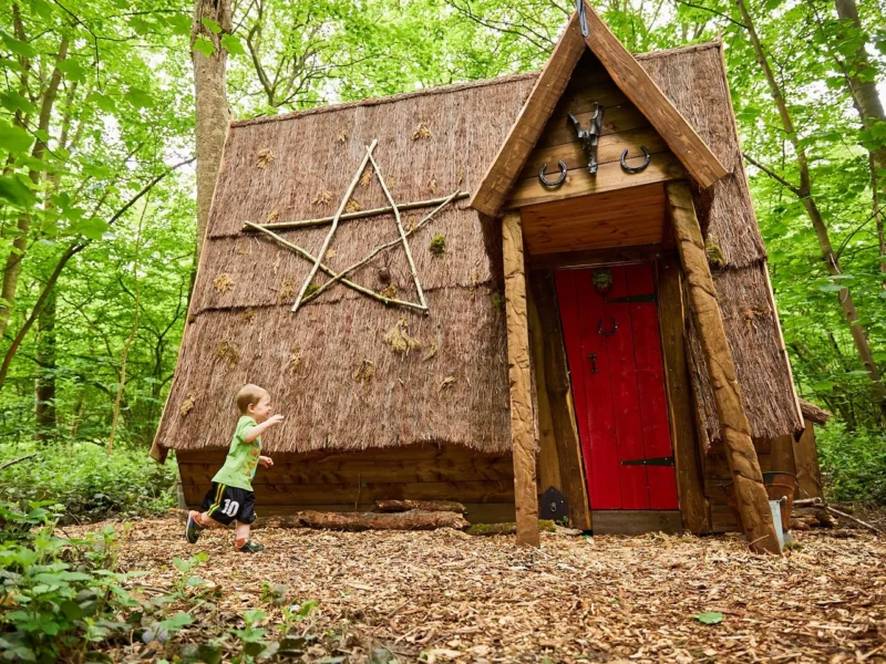The Secret Forest